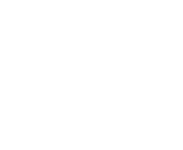 Lisa-logo-white